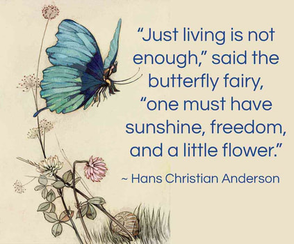 Fairies Chamber: Butterfly fairy quote